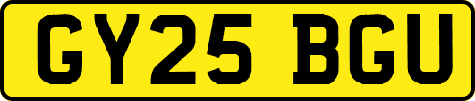 GY25BGU