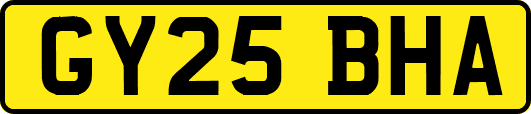 GY25BHA