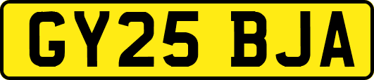 GY25BJA