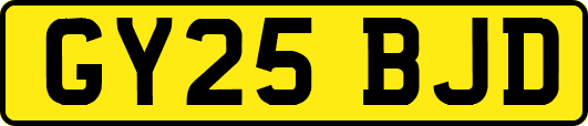 GY25BJD