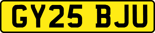 GY25BJU