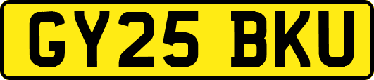 GY25BKU