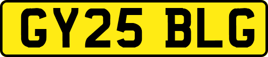 GY25BLG