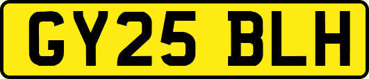 GY25BLH