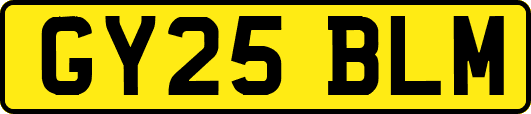 GY25BLM