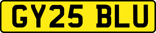 GY25BLU