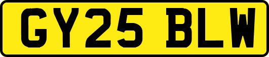 GY25BLW