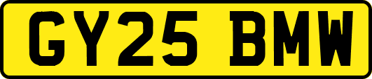 GY25BMW