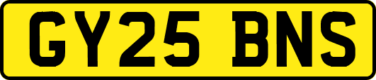 GY25BNS