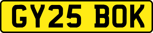 GY25BOK