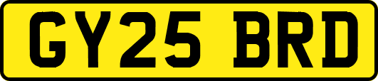 GY25BRD