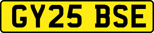 GY25BSE