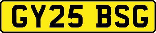 GY25BSG