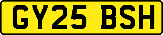 GY25BSH