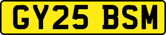 GY25BSM