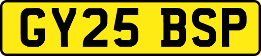 GY25BSP