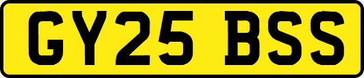 GY25BSS