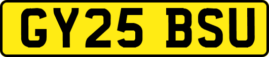 GY25BSU