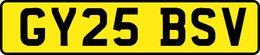 GY25BSV