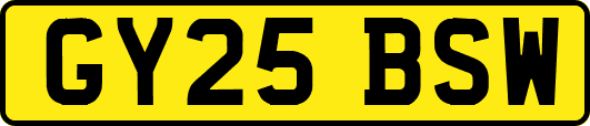 GY25BSW