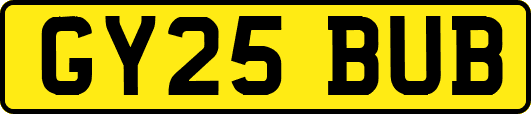 GY25BUB