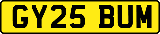 GY25BUM