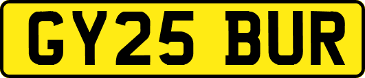 GY25BUR