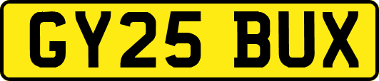 GY25BUX