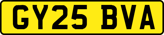 GY25BVA