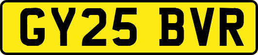 GY25BVR