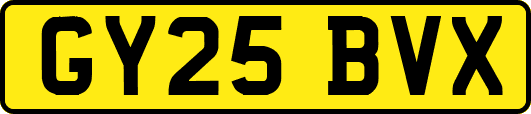 GY25BVX