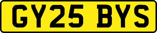 GY25BYS
