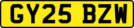 GY25BZW