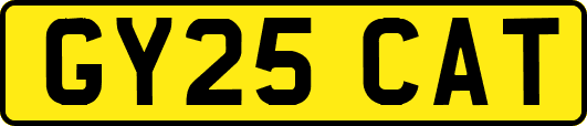 GY25CAT