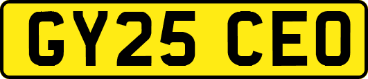GY25CEO
