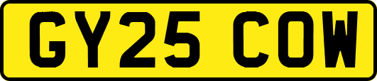GY25COW