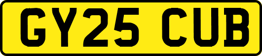 GY25CUB