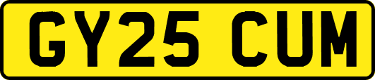 GY25CUM