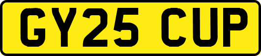 GY25CUP