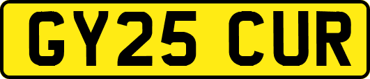 GY25CUR