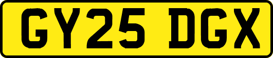 GY25DGX
