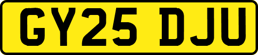 GY25DJU