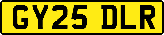 GY25DLR