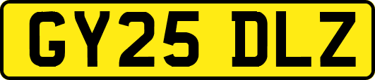 GY25DLZ