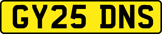 GY25DNS