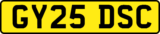 GY25DSC