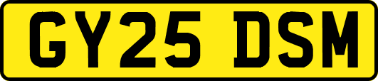 GY25DSM