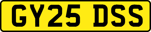 GY25DSS