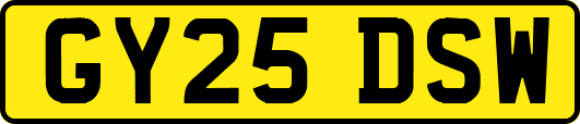 GY25DSW