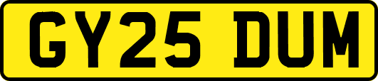 GY25DUM